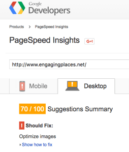 Google PageSpeed Insights